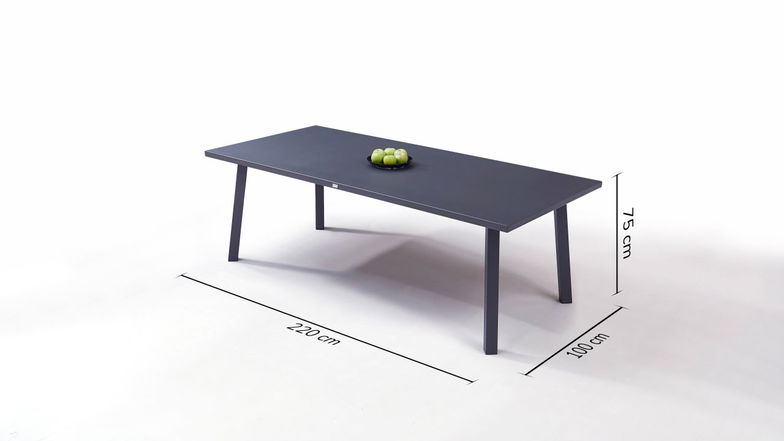Tavolo da pranzo 220 cm (antracite)